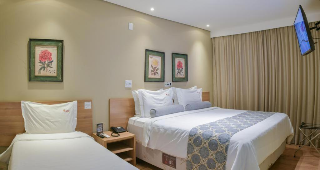 Aracatuba Plaza Hotel Kültér fotó